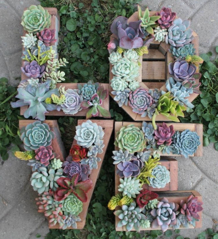 Decoración con plantas suculentas