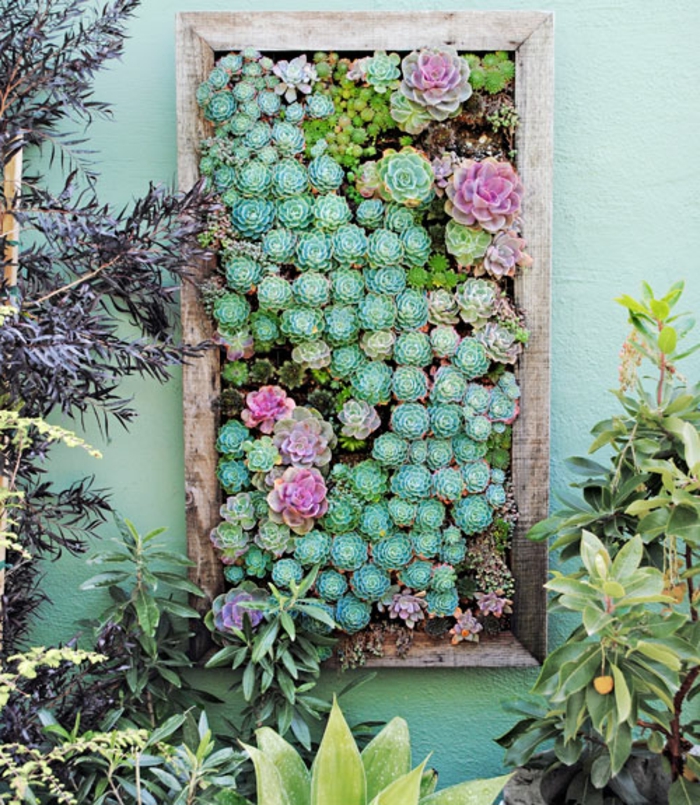 jardin vertical suculentas colores
