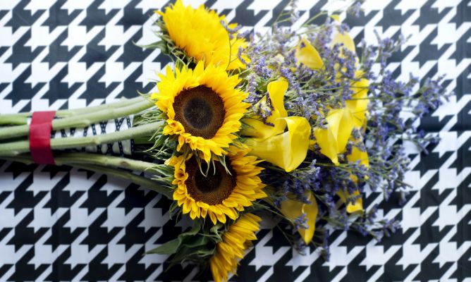 girasol ramo flores