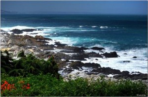 Isla Negra una perla de Chile 1