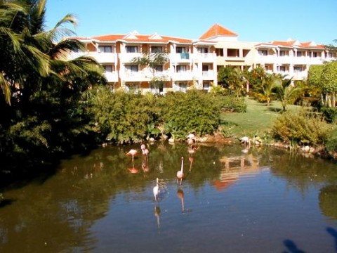 wyndham
