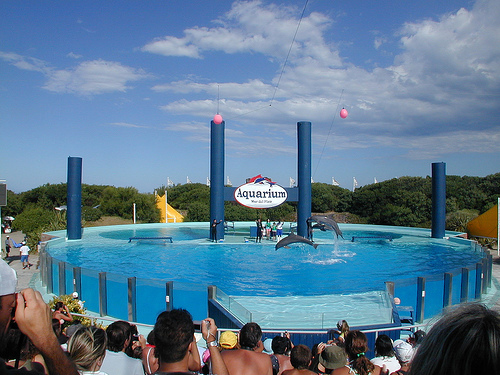 aquarium