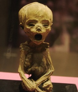 niño