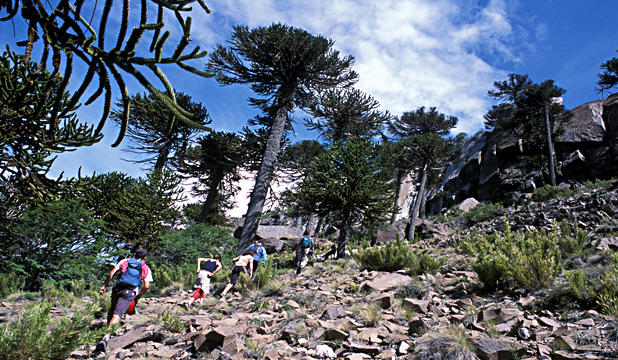 neuquen