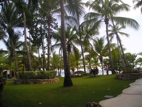 vivia-dominicusbeach