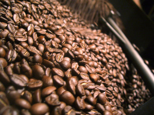 El café II: tipos y diversidad 1