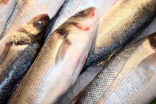 Pescados IV: análisis del despiece 1
