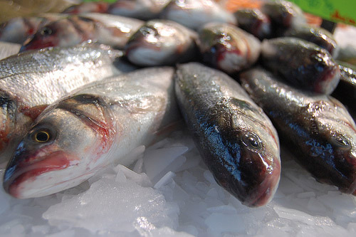Pescados VI: valores nutritivos 1