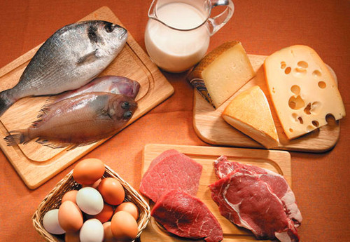 Las proteínas 1