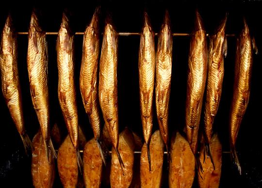 Conservación de los pescados II 1