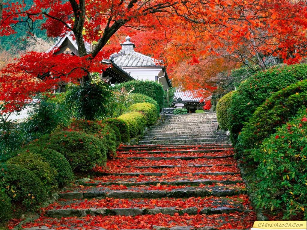 paisaje rojo