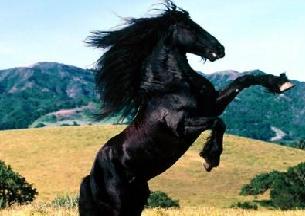 Soñar con caballos