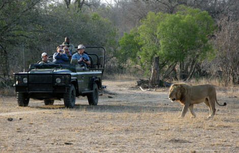Los mejores Safaris en Sudáfrica 1
