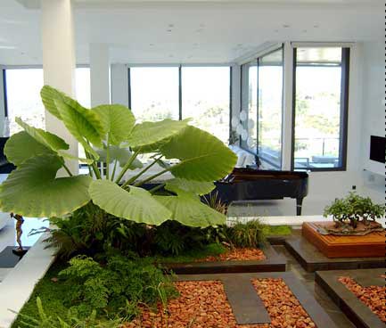 jardín