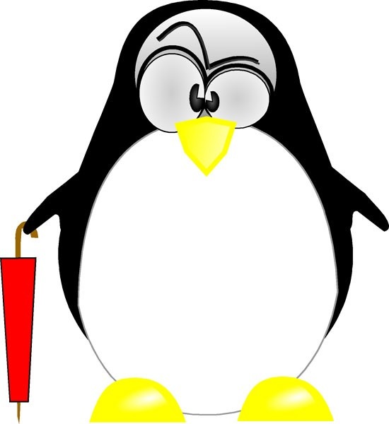 pinguino