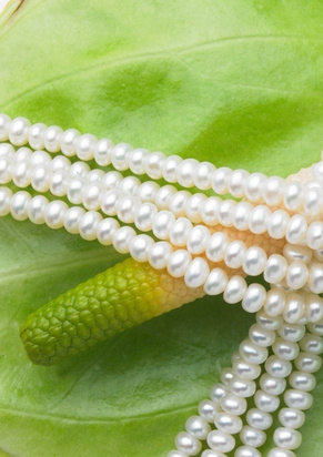 Beneficios de la Crema de perlas 1