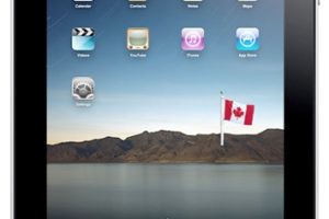 Cómo restablecer su IPAD