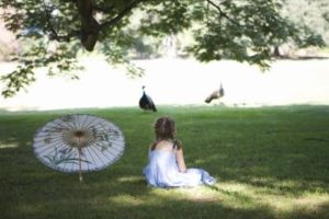 Crecer hierba en la sombra y suelo de arena