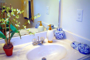 Orquideas en el baño