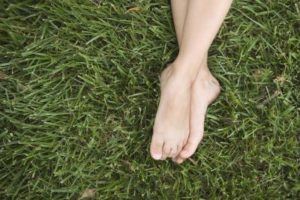 El mejor mes para plantar un cesped
