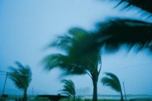 ¿Cuáles son las diferentes condiciones climáticas