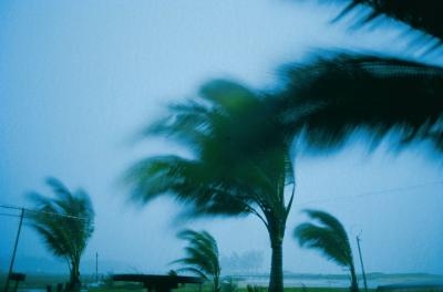 ¿Cuáles son las diferentes condiciones climáticas