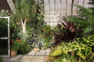 Plantas en vestíbulos y pasillos 4