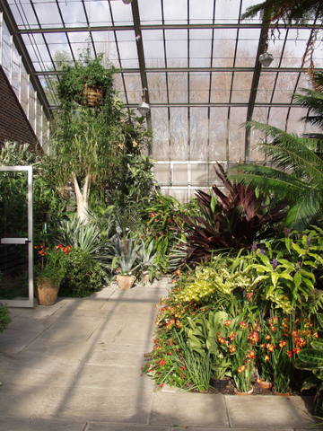Plantas en vestíbulos y pasillos 1