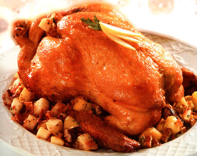 Pavo relleno, Pavo, Aves.