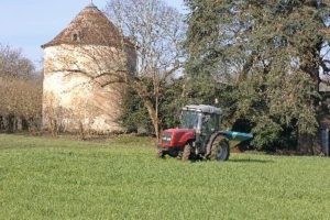¿Por qué usar fertilizantes