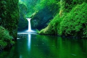 Cómo sobrevivir en la selva durante 10 días