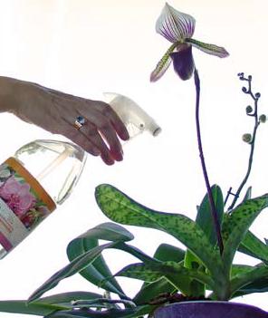 Los efectos fertilizantes en el crecimiento de las plantas