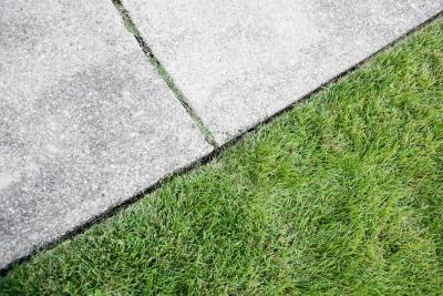 Por qué no crece la hierba en enero