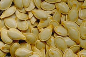 Cómo secar las semillas de calabaza