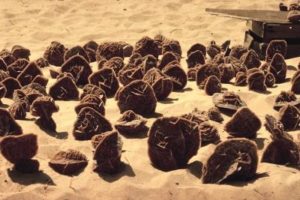 Utilizar yeso para mejorar la condición de la tierra