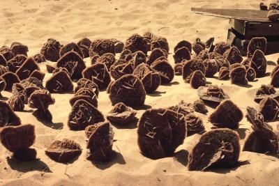 Utilizar yeso para mejorar la condición de la tierra