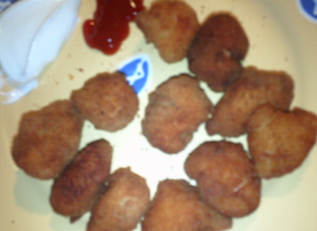Pechuga de pavo al queso empanada 1