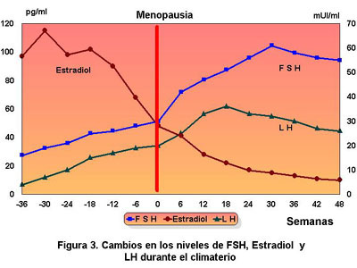 Afronta los cambios hormonales 1