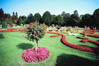 Plantas de bordes o fronteras