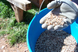 Abonos en las plantas 4