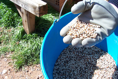 Abonos en las plantas 1