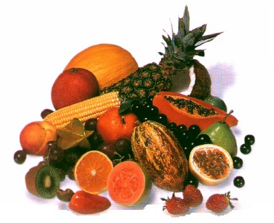 La mejor dieta para conservar la salud de la piel 1