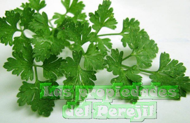 Las propiedades del Perejil 1