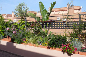 Decoración de terrazas con plantas 7