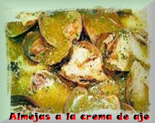 Almejas en crema de ajos 1