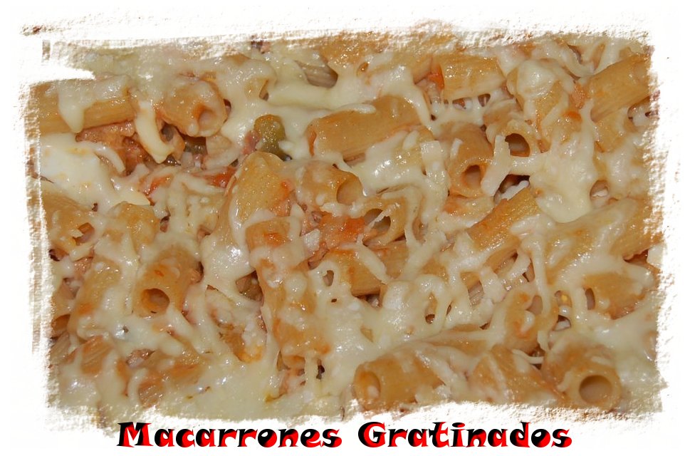 Macarrones con atún gratinados 1