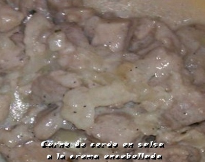 Carne a la crema encebollada
