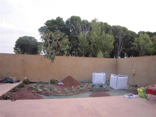 Ideas para ajardinar las zonas que no reciben agua