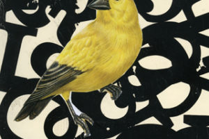 Crea tus propios cuadros con collages 5