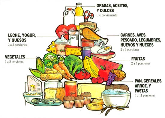 Los secretos de las dietas equilibradas 1